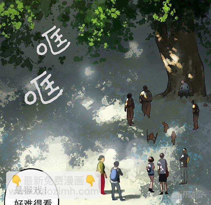 猴戏-110