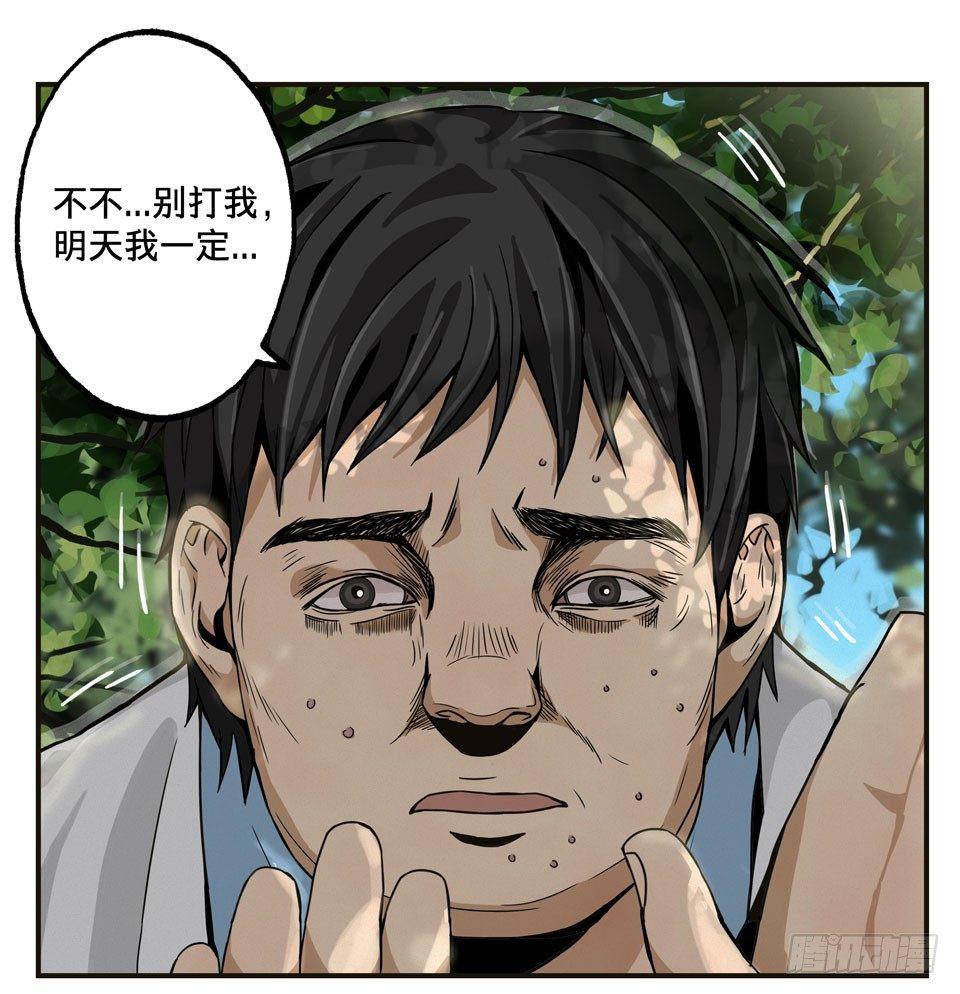 龟-中19