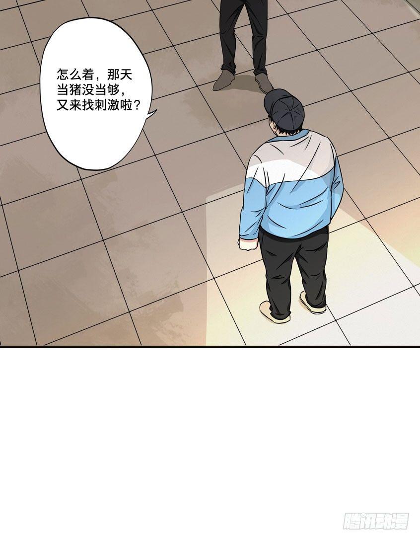 龟-中48