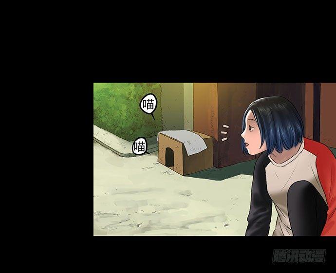 猫-112