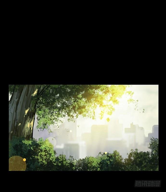猫-20