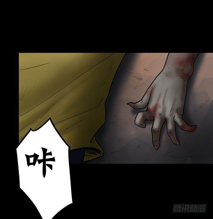 猫-588