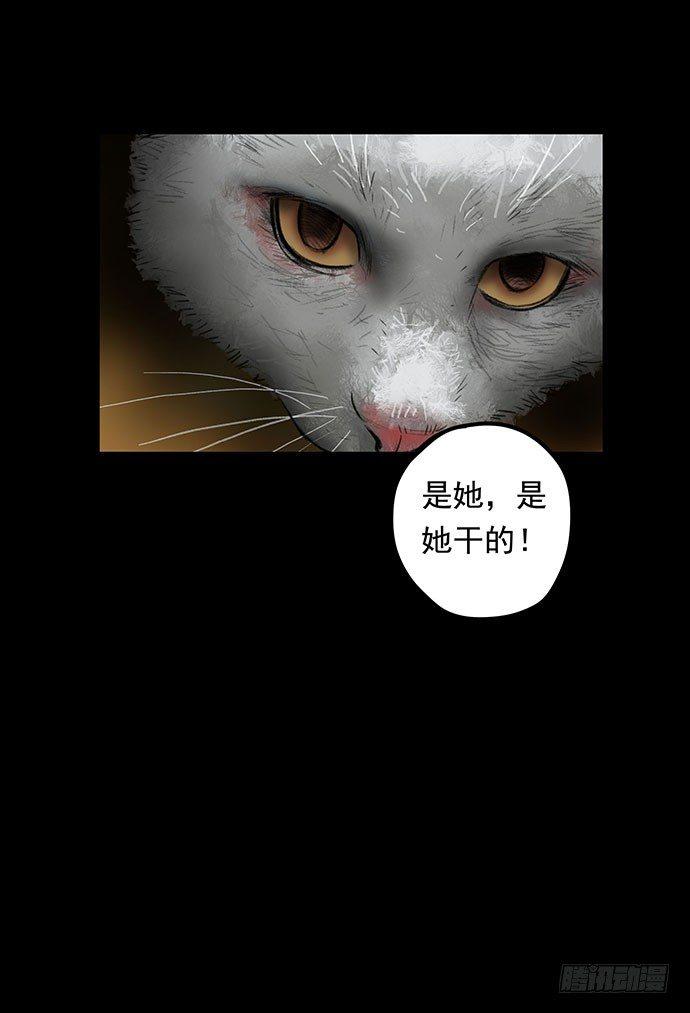 猫-161