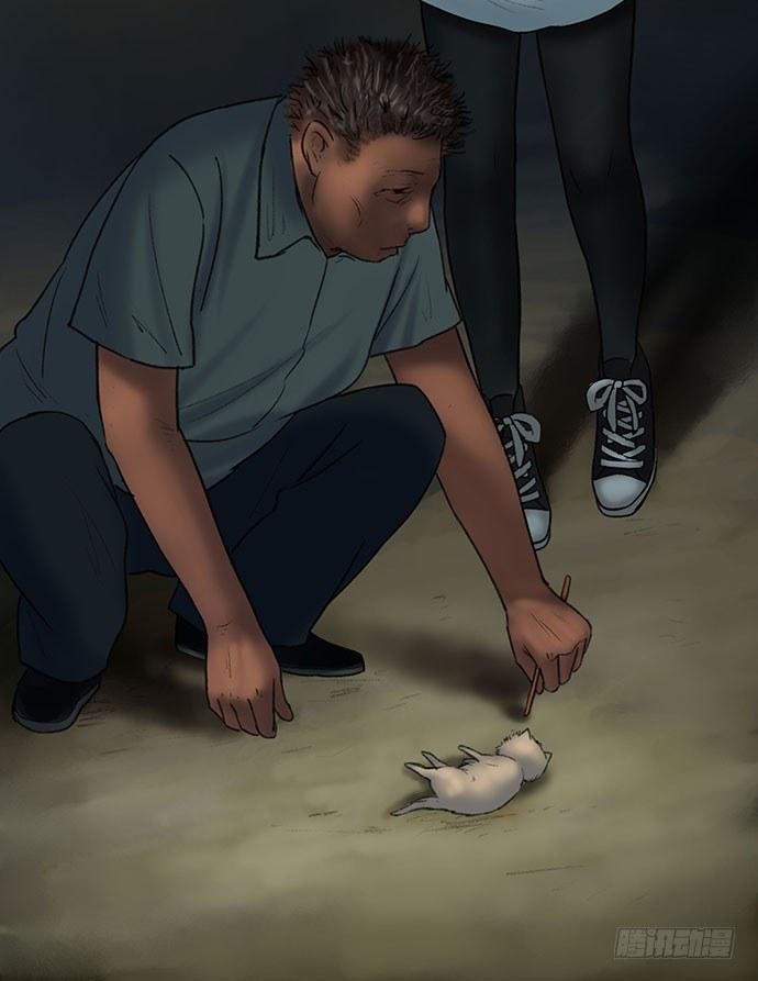 猫-153