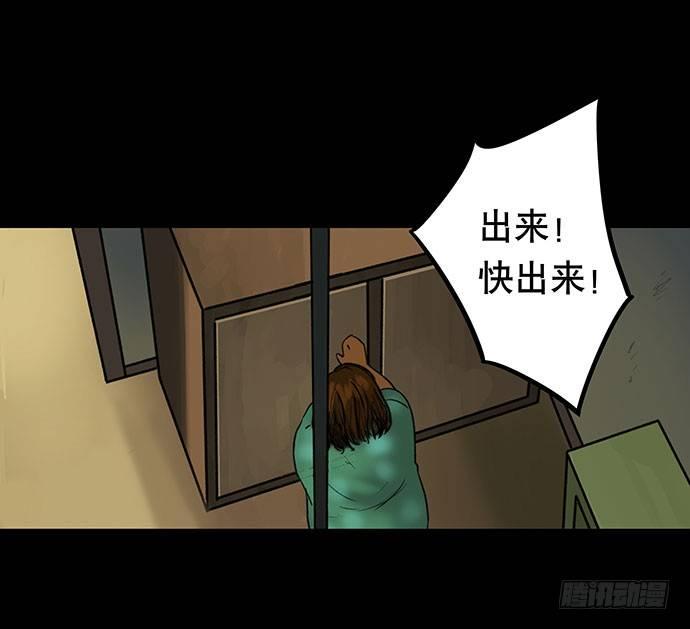 猫-334