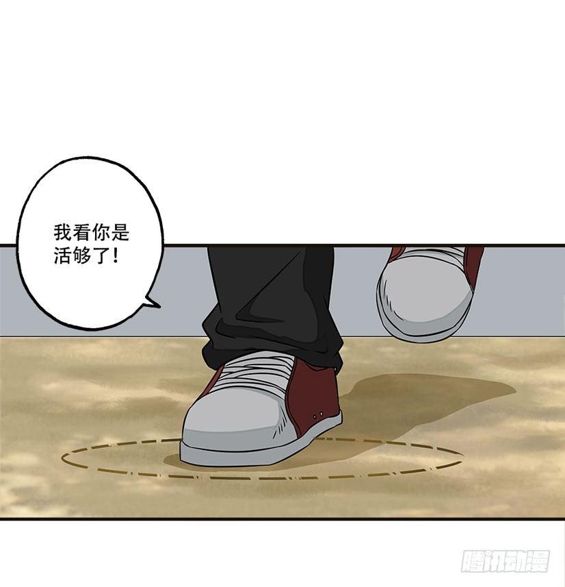 龟-下58