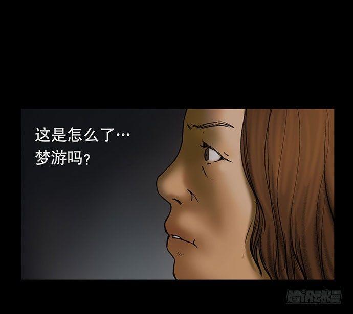 猫-454