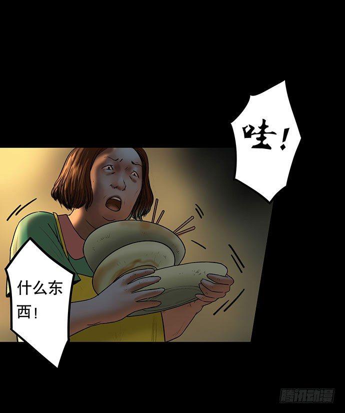 猫-319