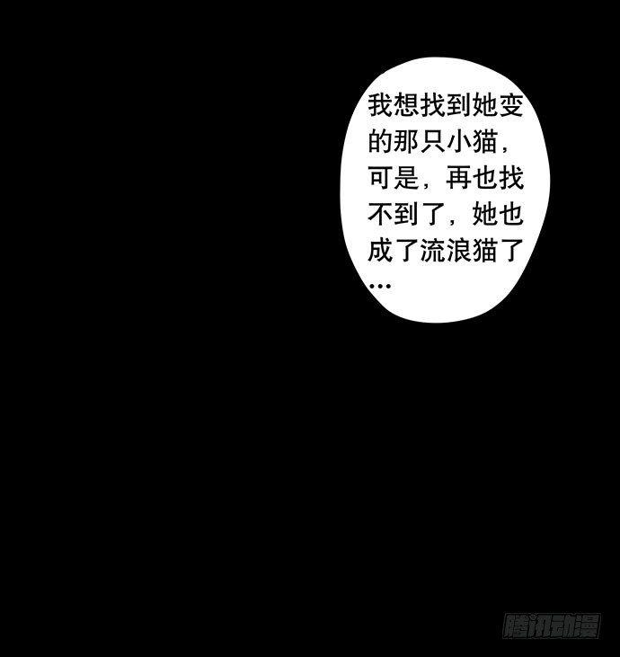 猫-597