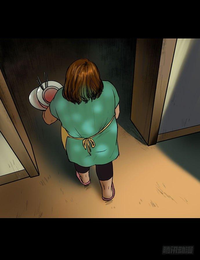 猫-317