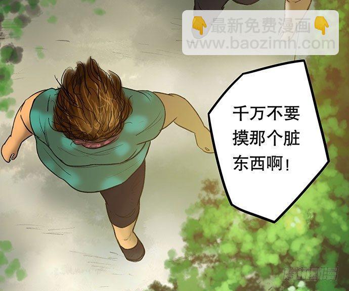 猫-223