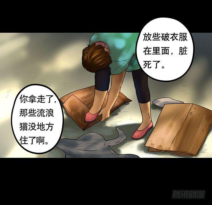 猫-26