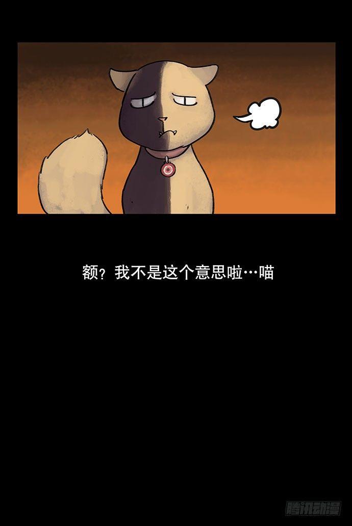 盲盒13