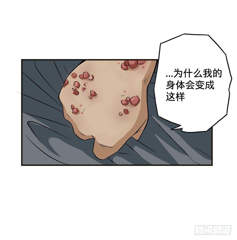 龟-下5