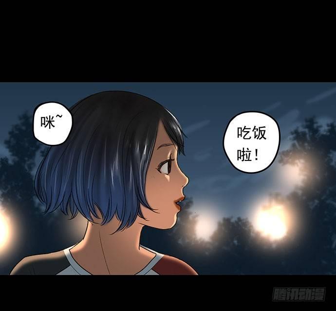 猫-147