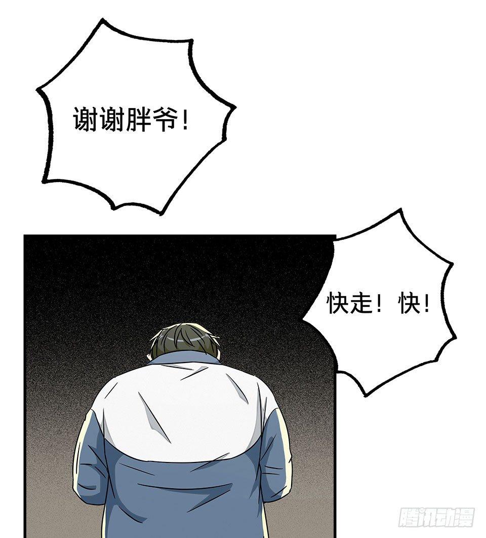 龟-中80