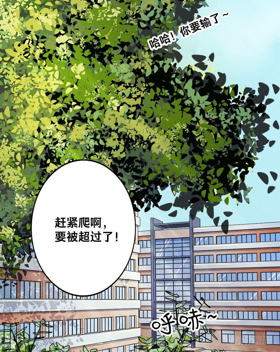 龟-上10