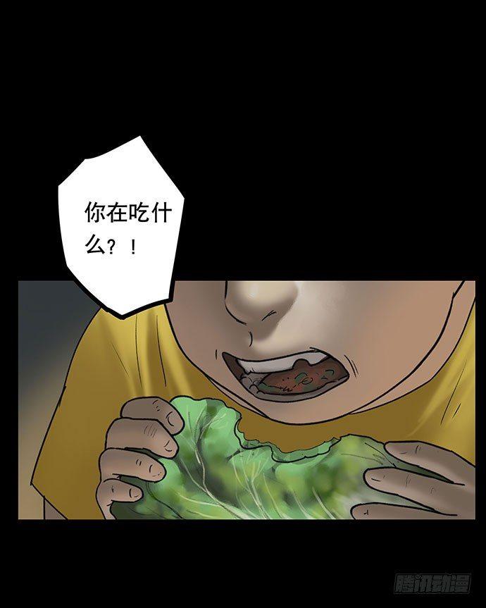 猫-460