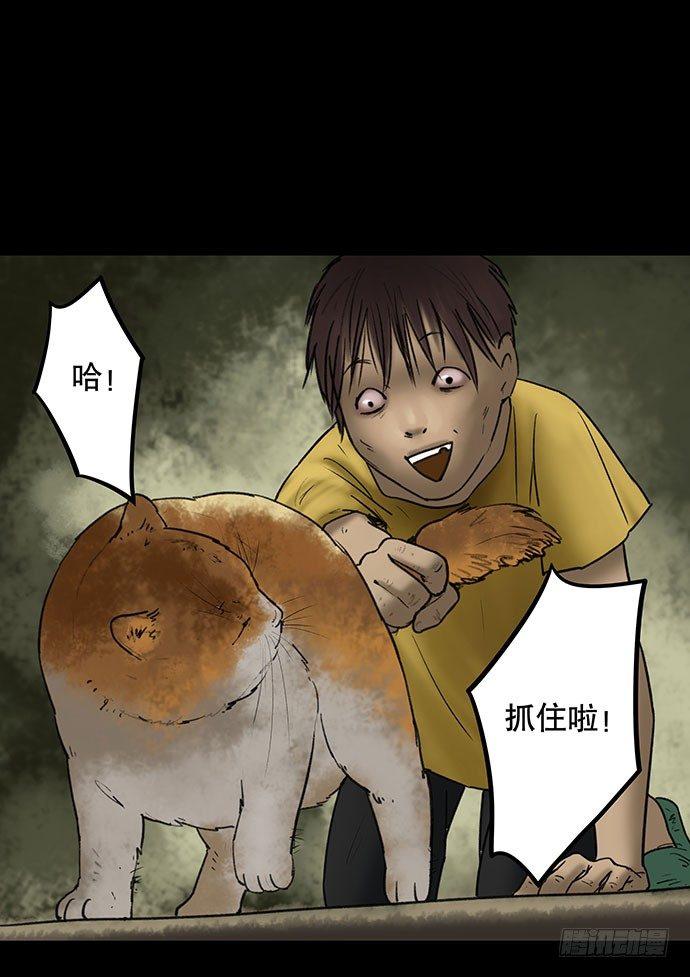 猫-548