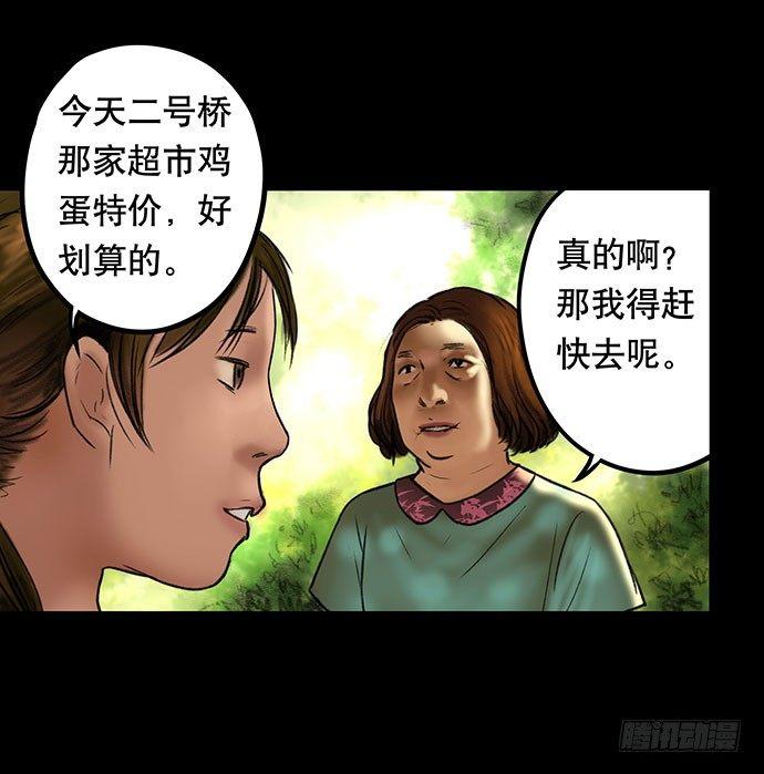 猫-340