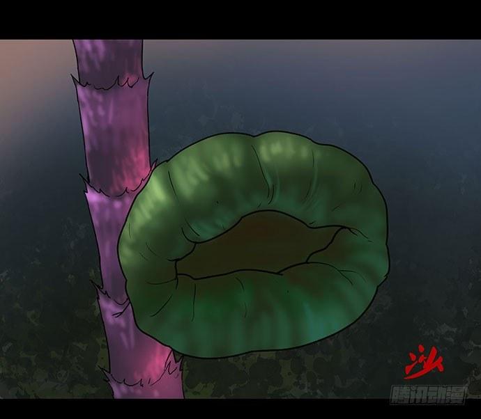 花-211