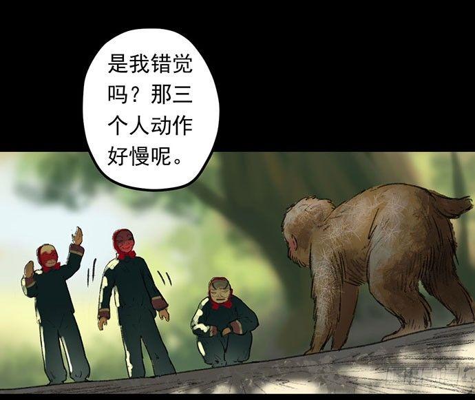 猴戏-115