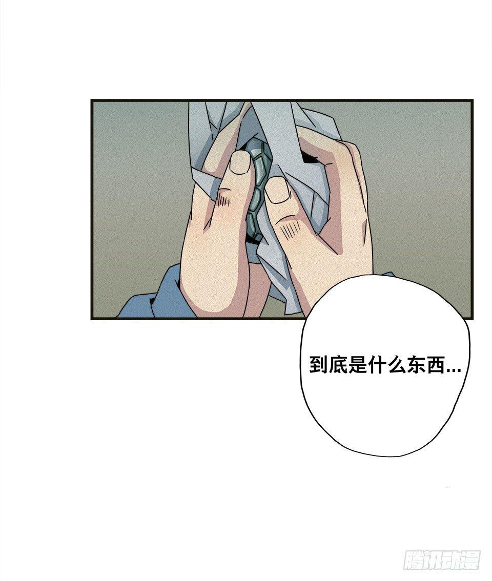 龟-上85