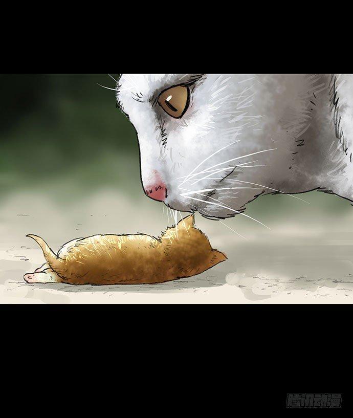 猫-232