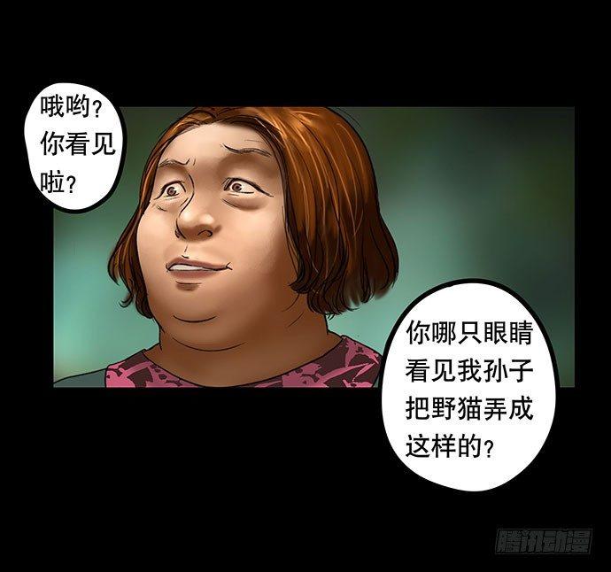 猫-253