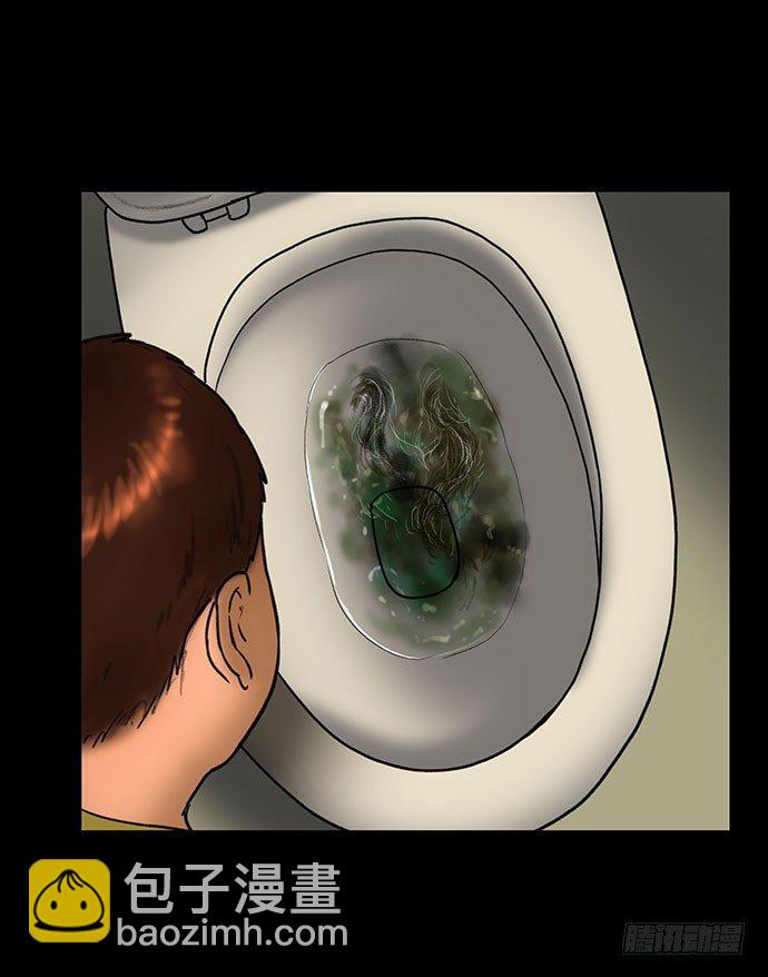 猫-527