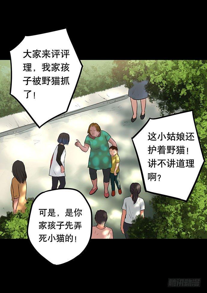 猫-252