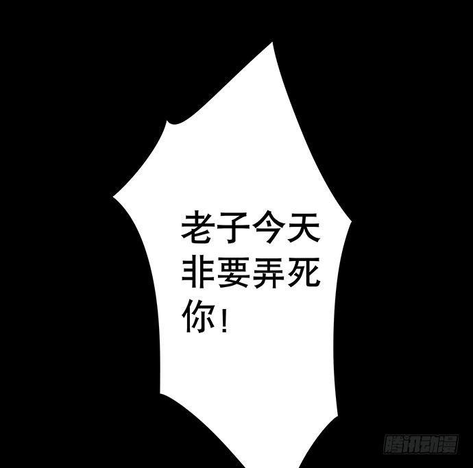 猫-556