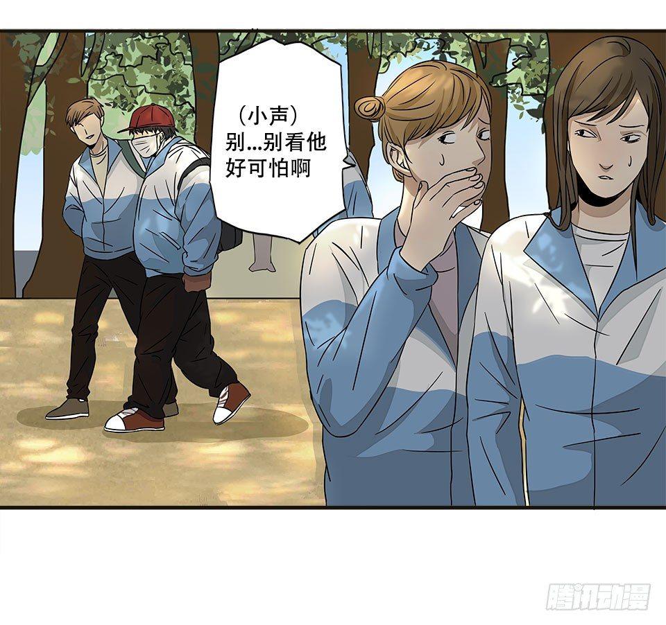 龟-下27