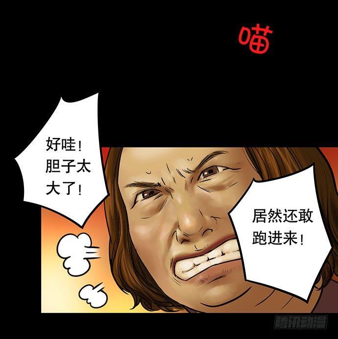猫-332