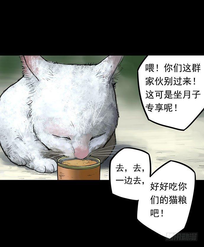 猫-120