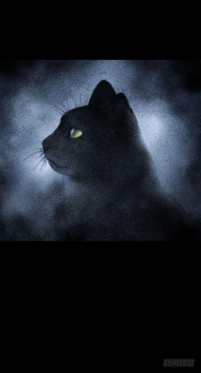 猫-52