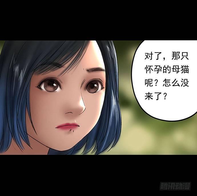 猫-111