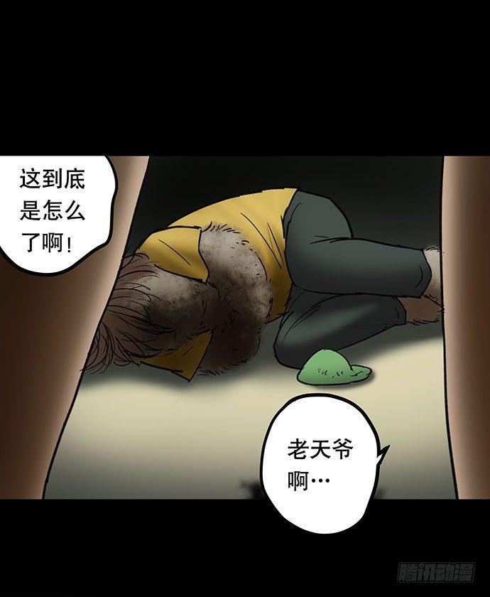 猫-571