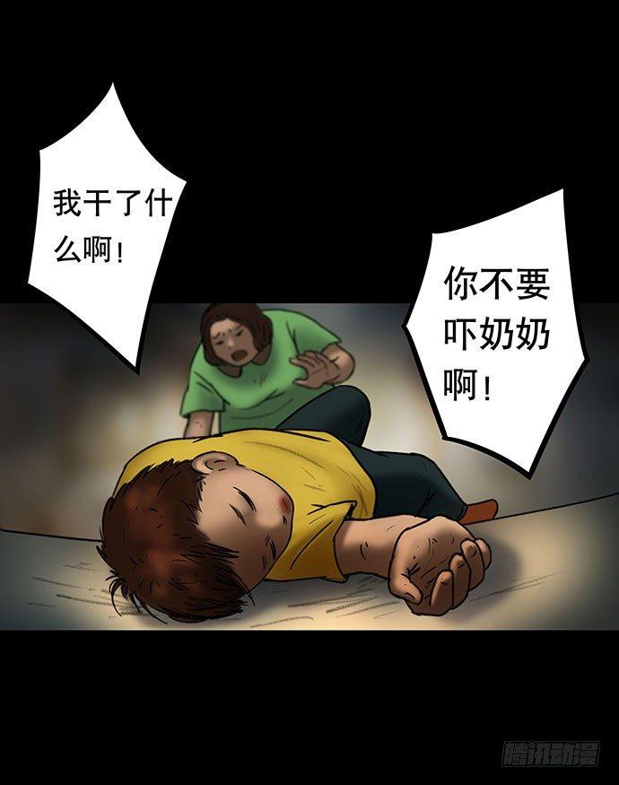 猫-513