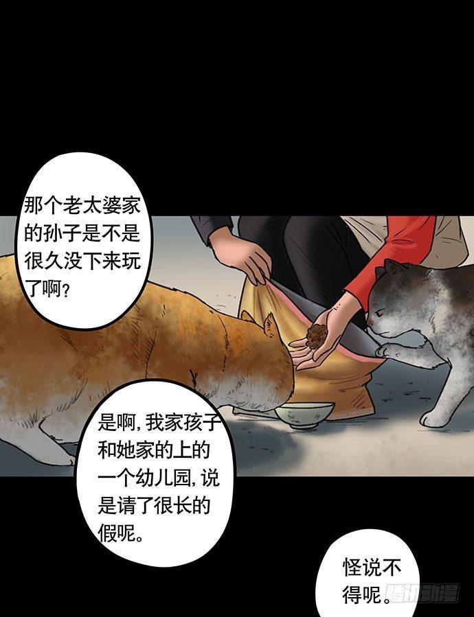 猫-533