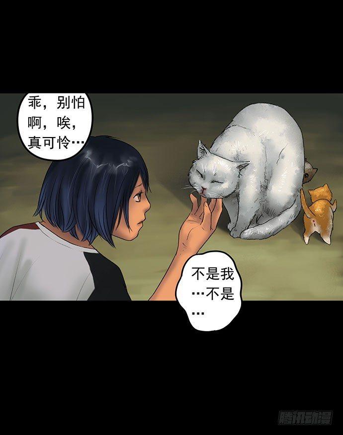 猫-160
