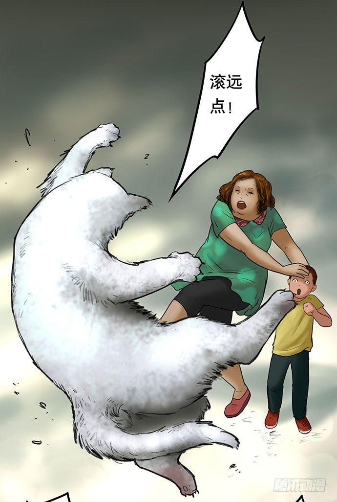 猫-245