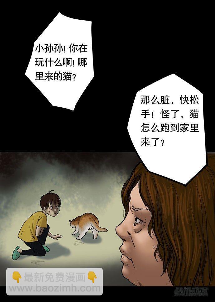 猫-549