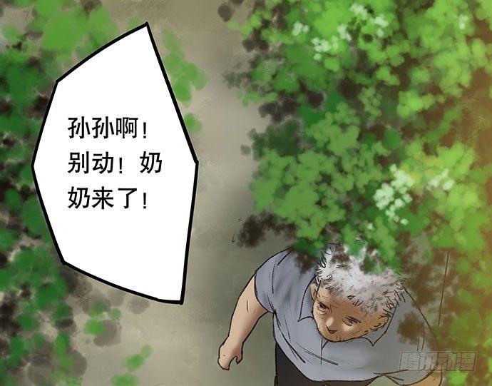 猫-222