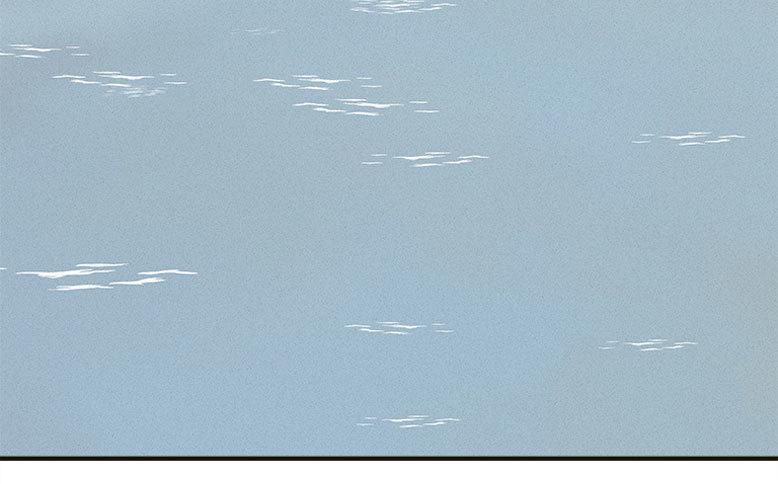 龟-上46