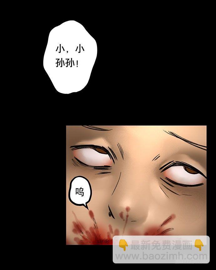 猫-512