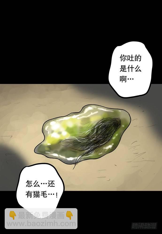 猫-463