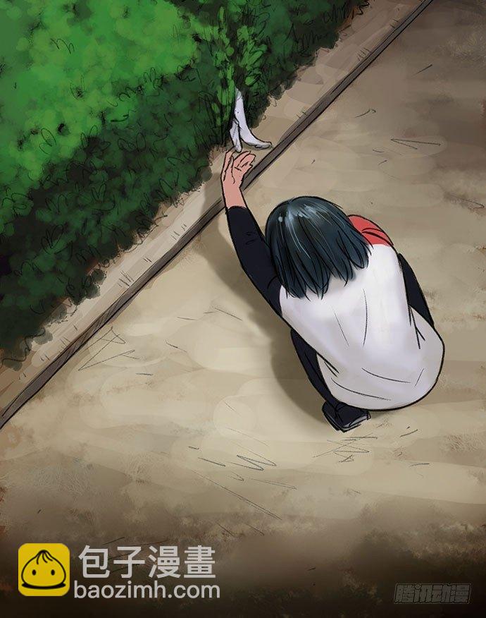 猫-264