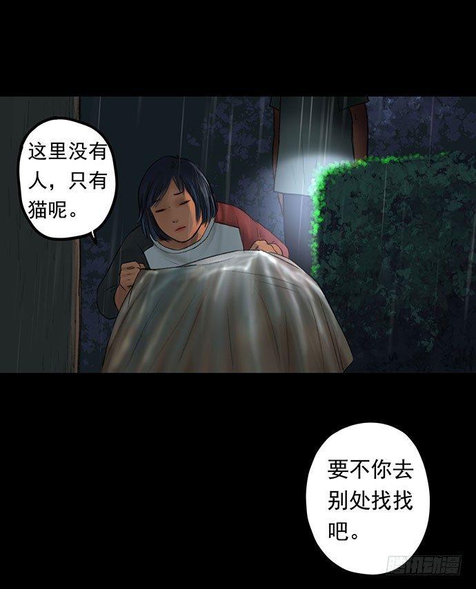 猫-136