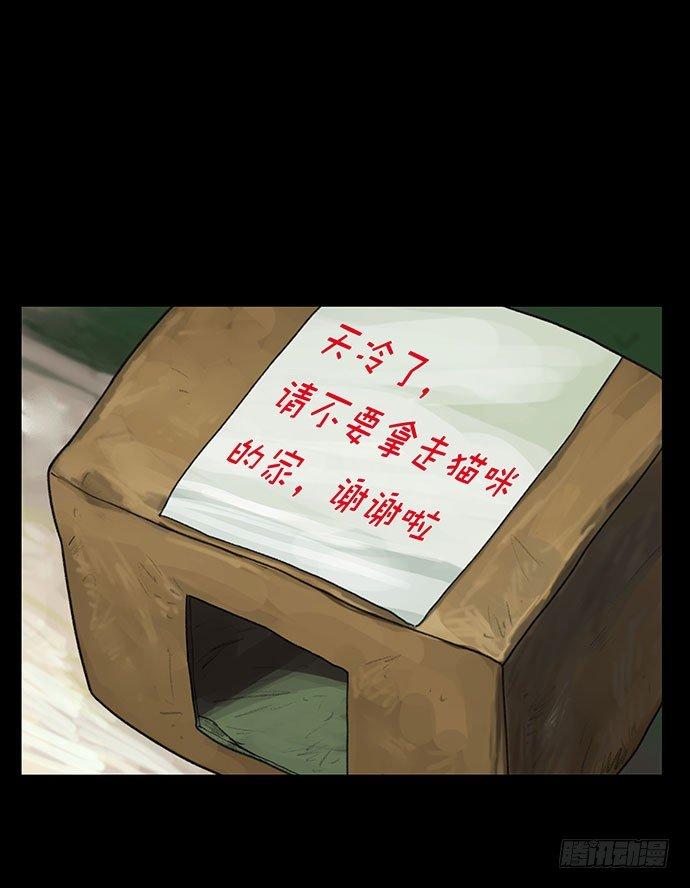 猫-142